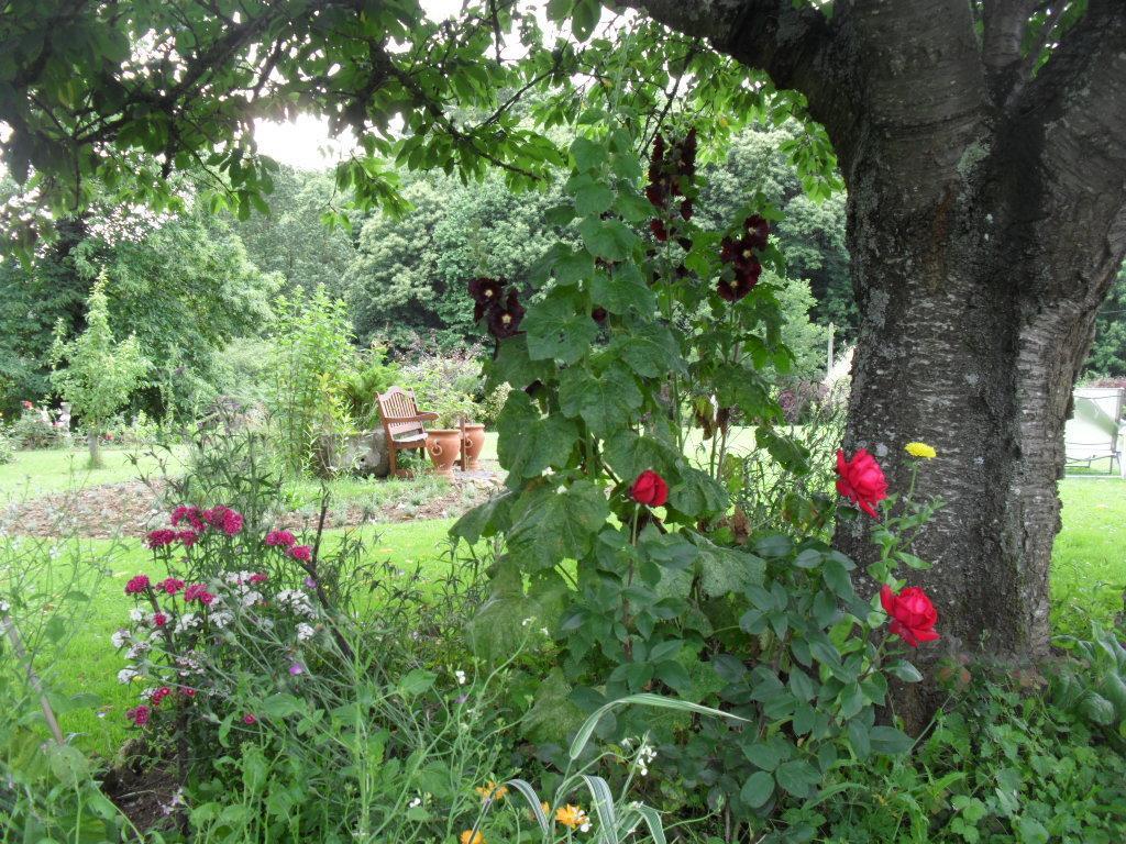 La Chevallerie B&B Isigny-le-Buat Exterior foto